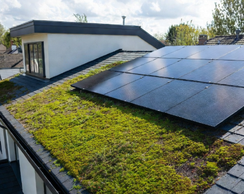 Environmentally Friendly Roofing Materials