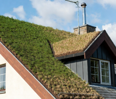 Environmentally Friendly Roofing Materials